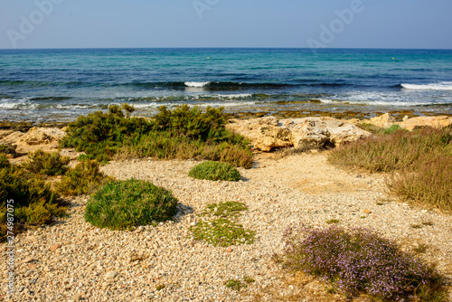 Yellow stone beach Ayia Napa with blue clear sea and green plants in the loukkos tou Mandi beach area