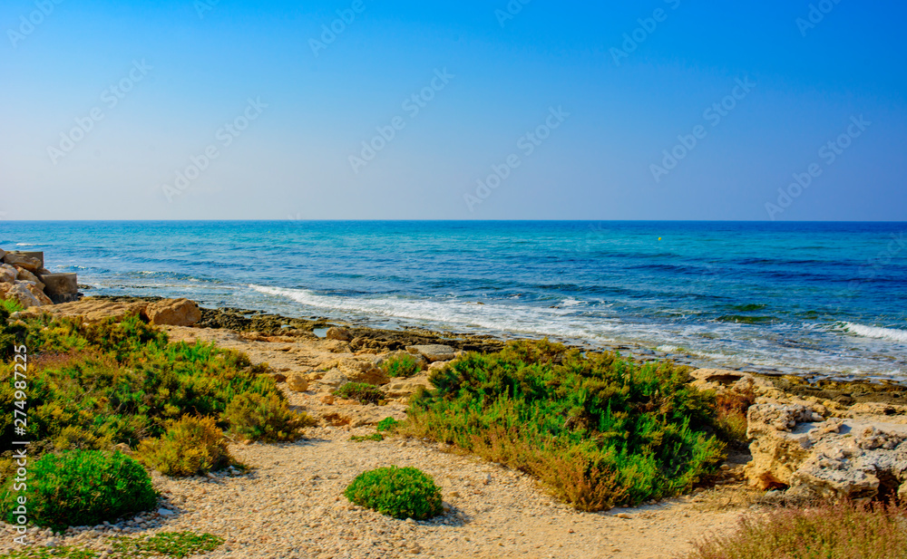 Yellow stone beach Ayia Napa with blue clear sea and green plants in the loukkos tou Mandi beach area Yellow stone beach Ayia Napa with blue clear sea and green plants in the loukkos tou Mandi beach area