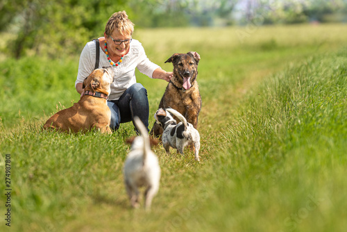 Canvas Print Dog sitter is walking  with many dogs on a leash