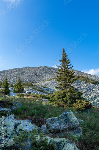 fantastic mountain landscape on a summer day