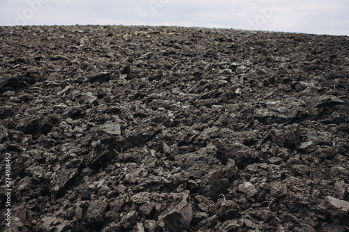 Wallpaper Mural Rich in nutrients black soil ready for planting Torontodigital.ca