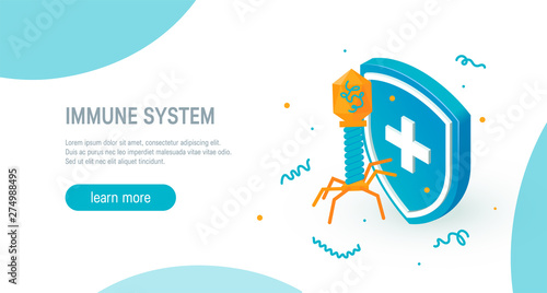 Immune system vector concept in isometric style