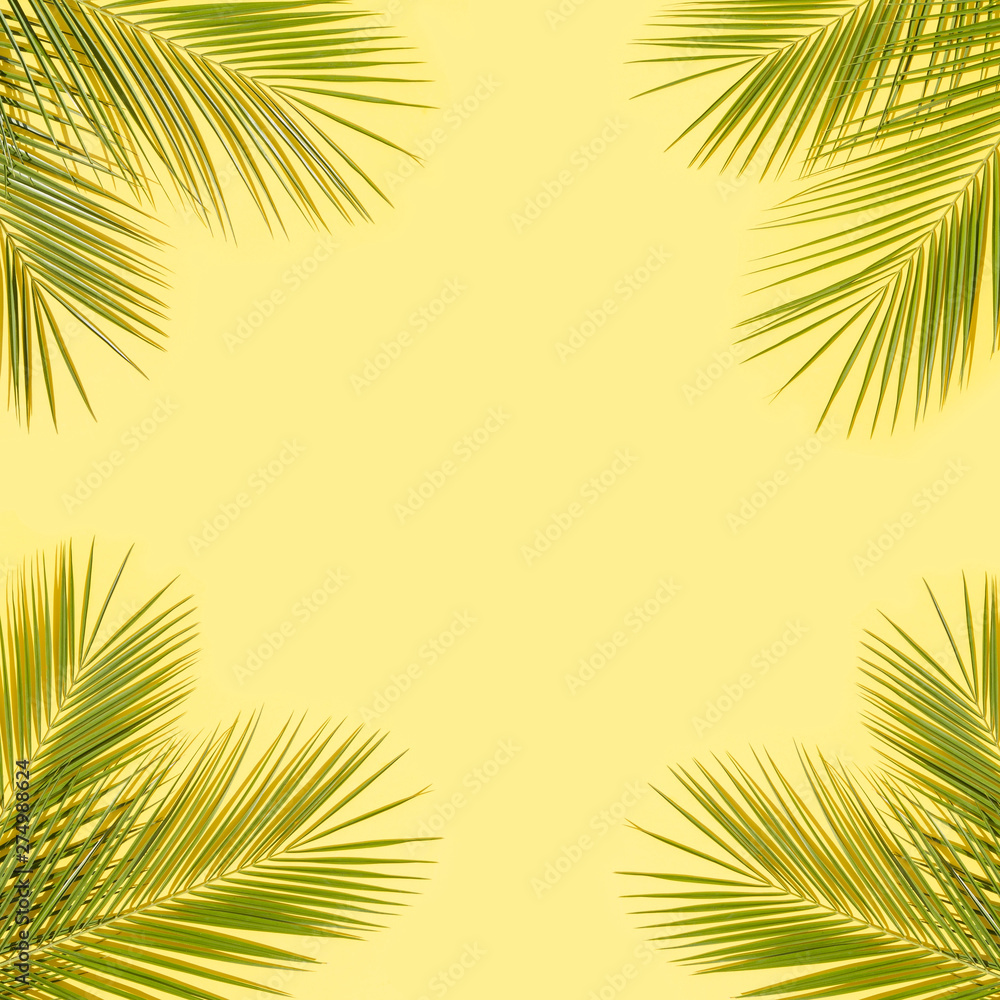 Palm leaves Palm leaves