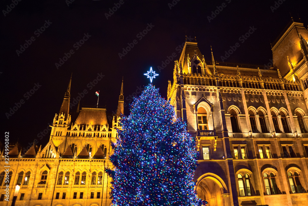 Obraz premium Christmas tree against Gothic building facade