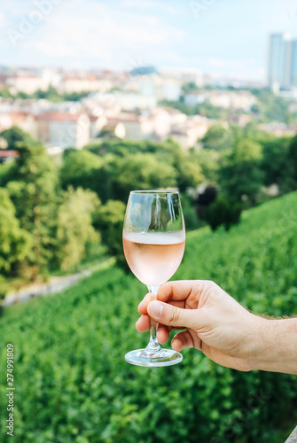 Photography Man holding a glas of Rose Wine in front of the Wine hill at Grébovka in the eve