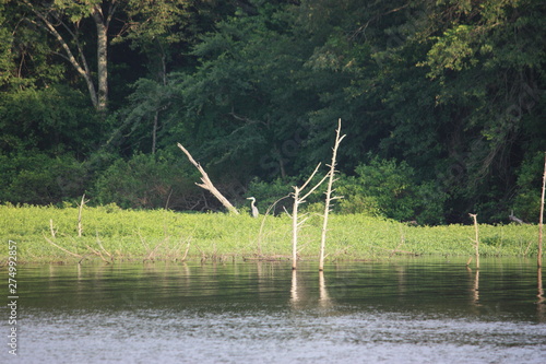 portrait of a lake