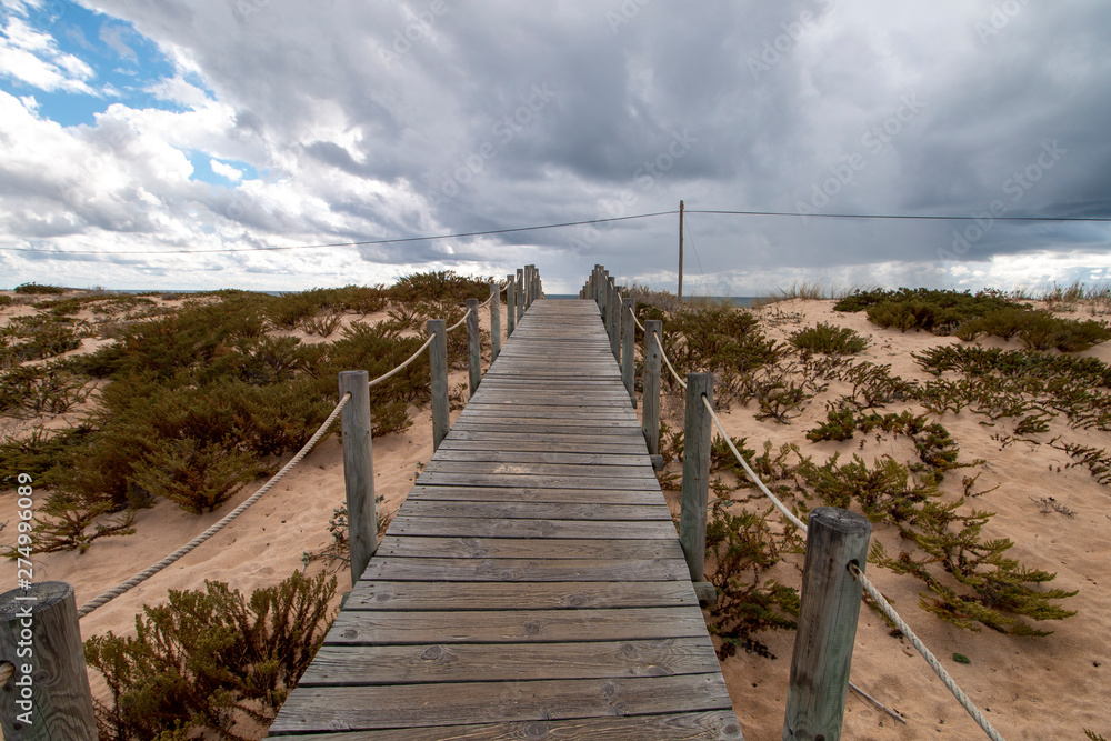 Obraz premium wooden path to beach