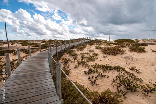 Fototapeta Naklejka Na Ścianę i Meble -  sand dunes shoreline