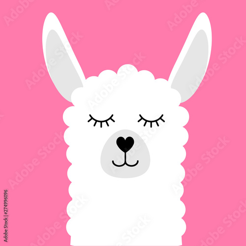 Vector flat cartoon llama face isolated on pink background