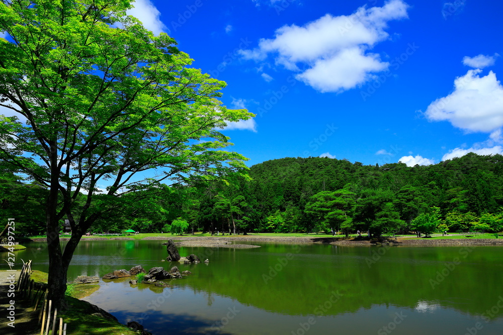 Fototapeta premium 世界遺産 新緑の毛越寺