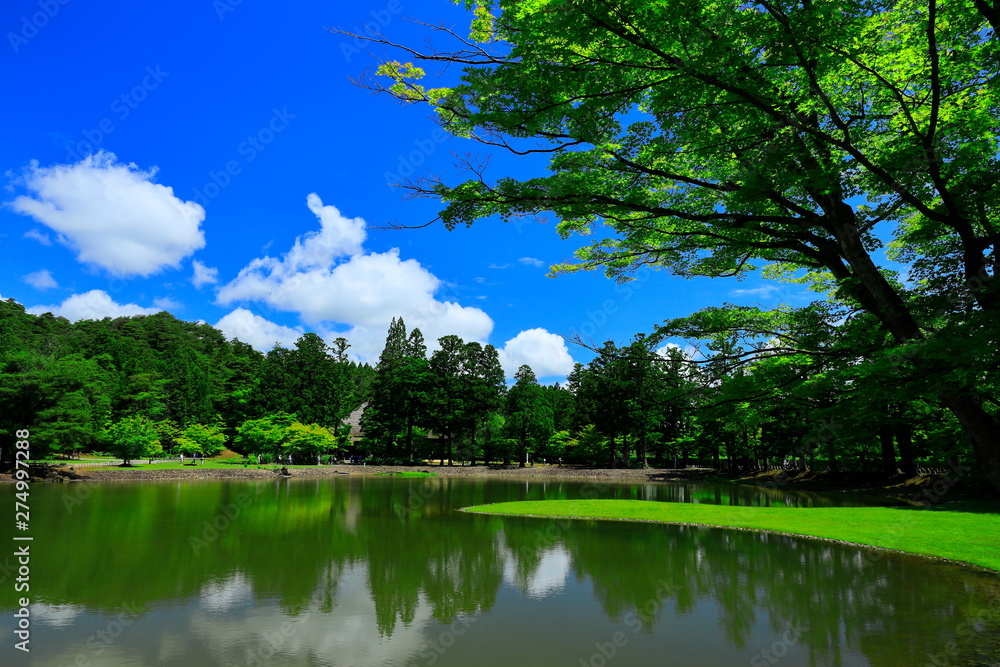 Fototapeta premium 世界遺産 新緑の毛越寺