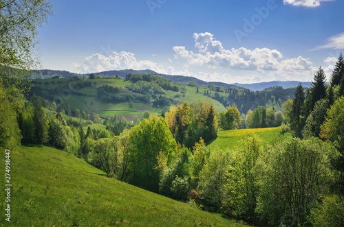 Beautiful spring mountain landscape. Charming views of the hills with green trees.
