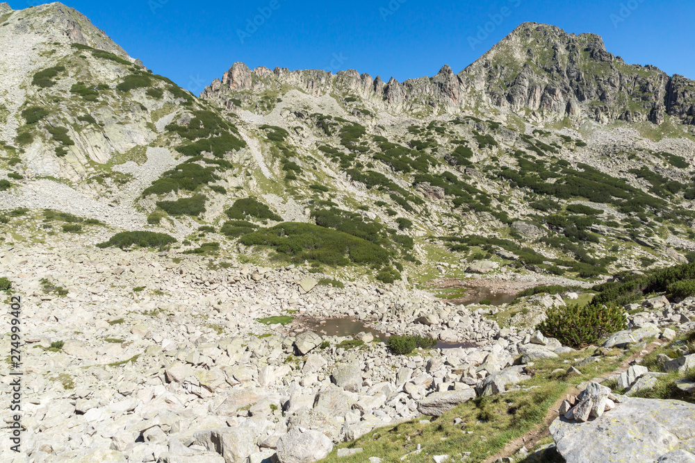 Fototapeta premium Landscape with Left Kralev Dvor pass, Pirin Mountain, Bulgaria