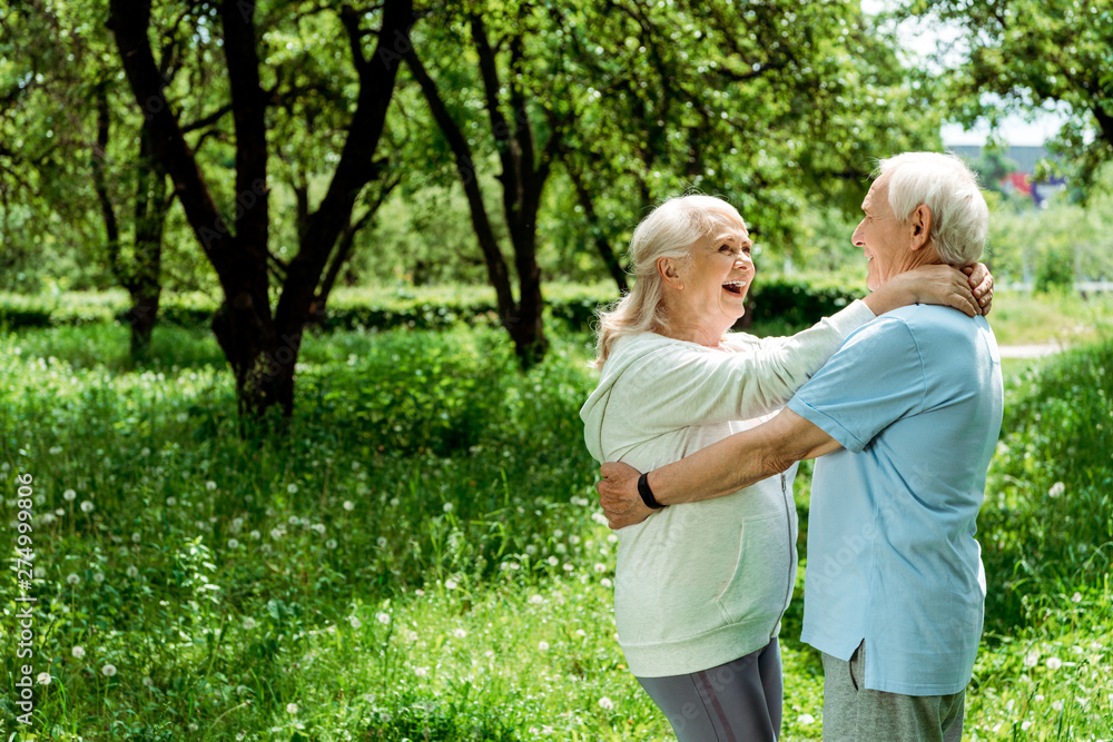 Fototapeta premium happy retired man hugging senior wife in green park