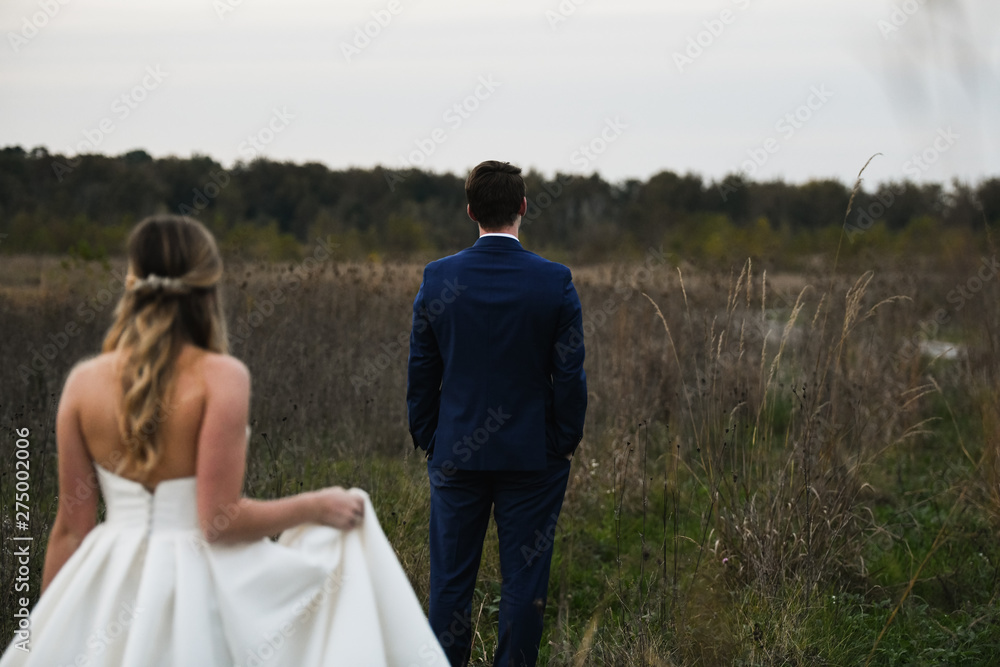 bride and groom in field bride and groom in field