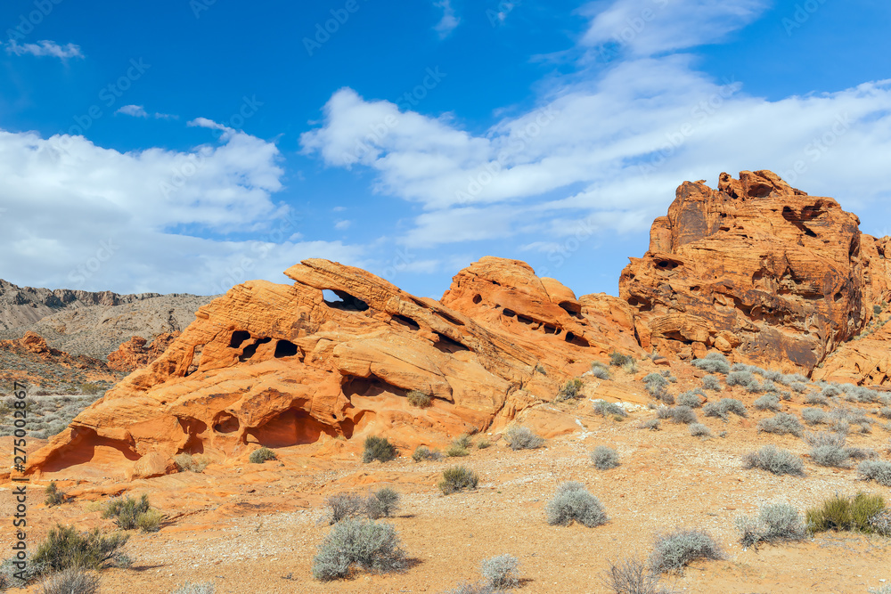 Eroded red sandstone rock formations.Valley of Fire State Park.Nevada.USA Eroded red sandstone rock formations.Valley of Fire State Park.Nevada.USA
