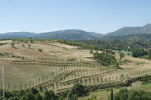 Andalusian landscape in summer, near Granada, Spain