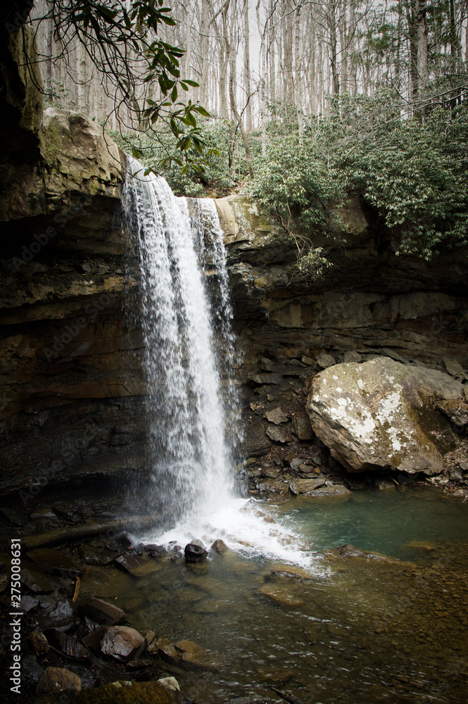 Naklejka premium waterfall in the forest