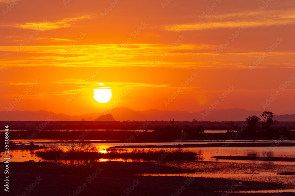 wetland and sunset