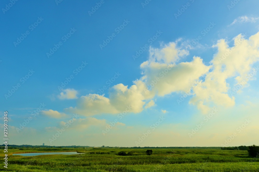 風景　晩夏　渡良瀬　空　沼　杤木