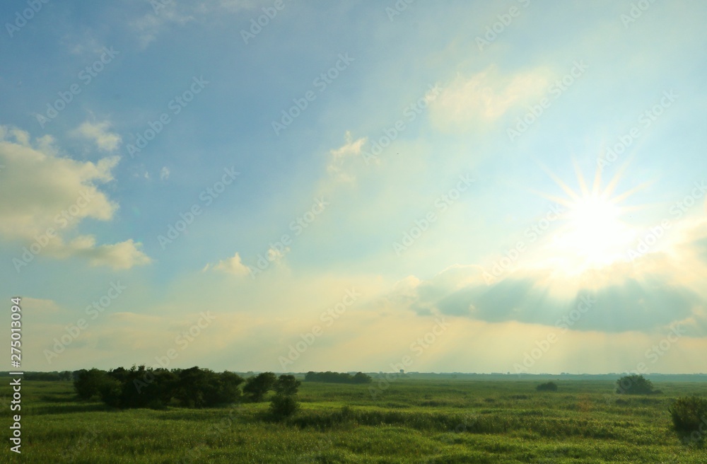 風景　晩夏　渡良瀬　栃木