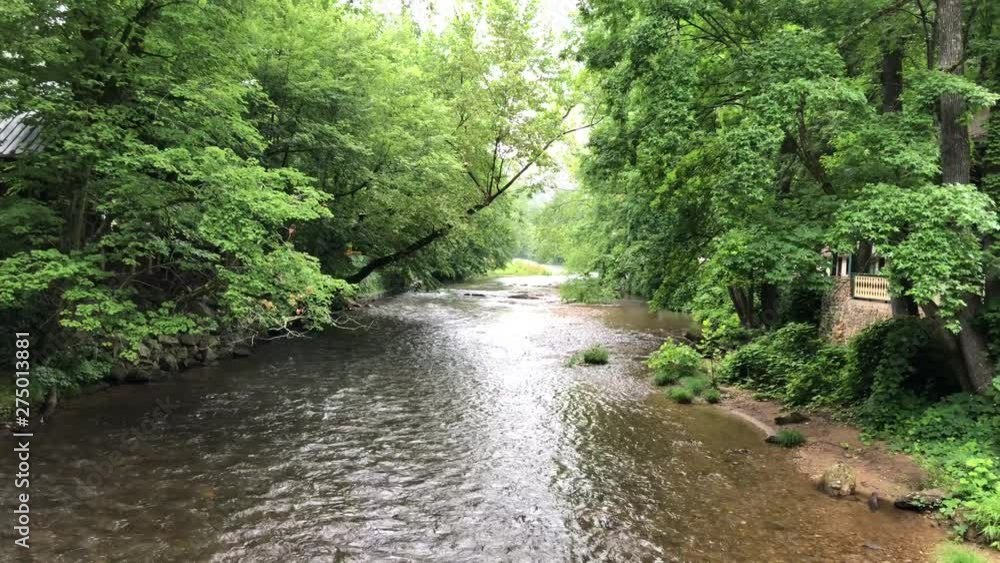 Flowing river through a dense forest. Flowing river through a dense forest.
