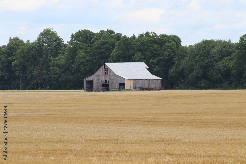 Tennessee Barn after wheat harvest 2019 Tennessee Barn after wheat harvest 2019