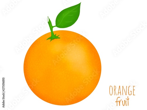 Hand drawn of fresh orange isolated on white background, Creative minimalistic food concept, single