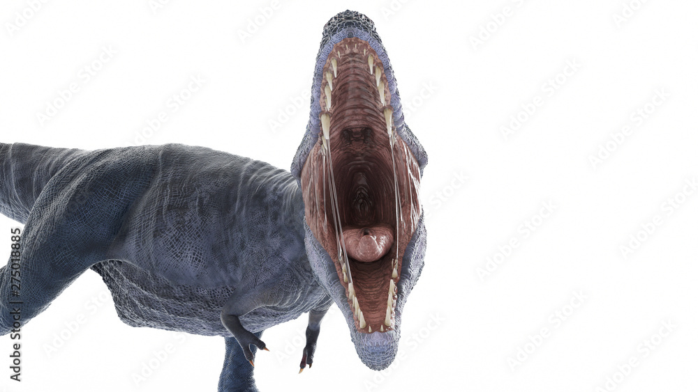 Obraz premium 3d rendered illustration of a t-rex isolated on white