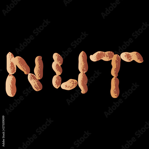 Vector illustration set of peanuts in word form nut. Isolated on black background