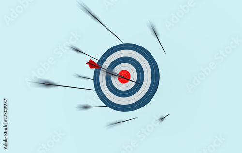 Bows and targets, career goals and the way forward, success