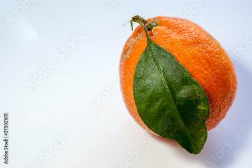 a cenital view of an orange meyer lemon with a white background