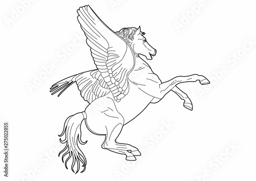 Drawing of a winged horse