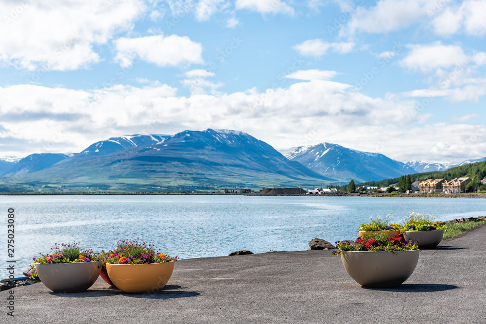 Φωτογραφία Akureyri, Iceland street park in village city with nobody and flowers flowerpot