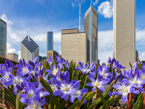 Early Spring in Chicago