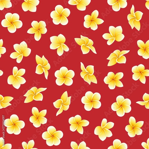 Vector seamless pattern with flower of Plumeria or Frangipani on scarlet red