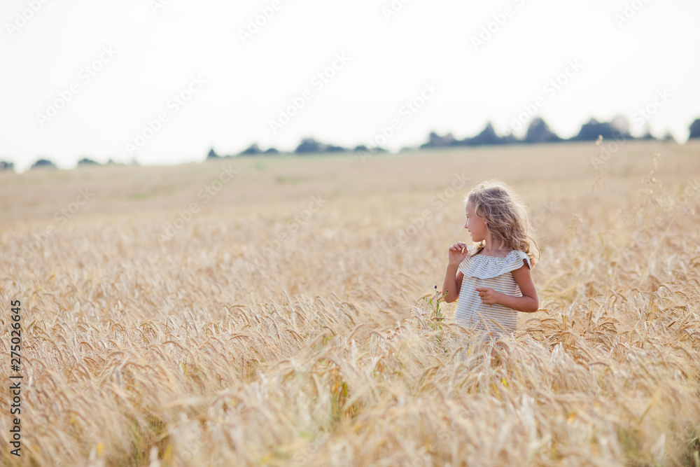 girl in wheat field girl in wheat field