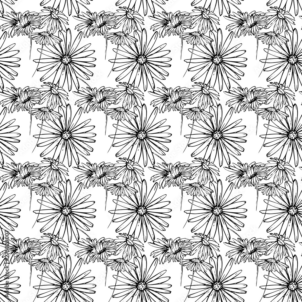 Fototapeta premium Flower graphic design. Cute seamless vector tile pattern. Retro vintage. line chamomile design.