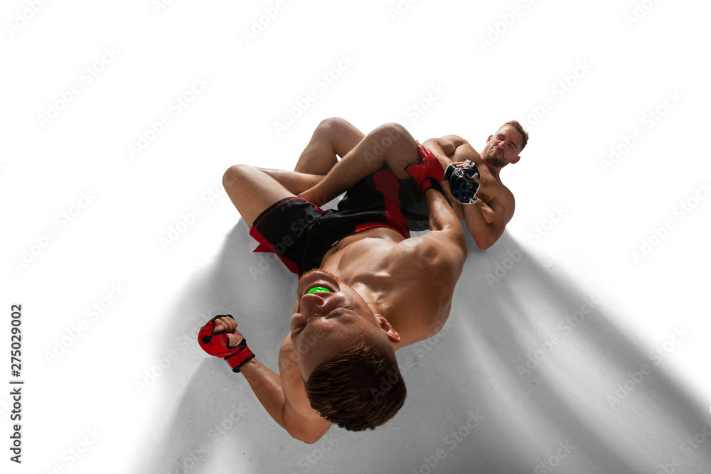 MMA fighters isolated on white