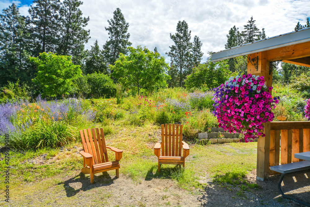 Back yard garden with wooden chairs and shed on sunny day Back yard garden with wooden chairs and shed on sunny day