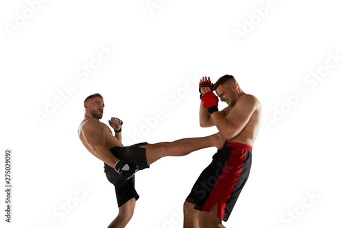 MMA fighters isolated on white