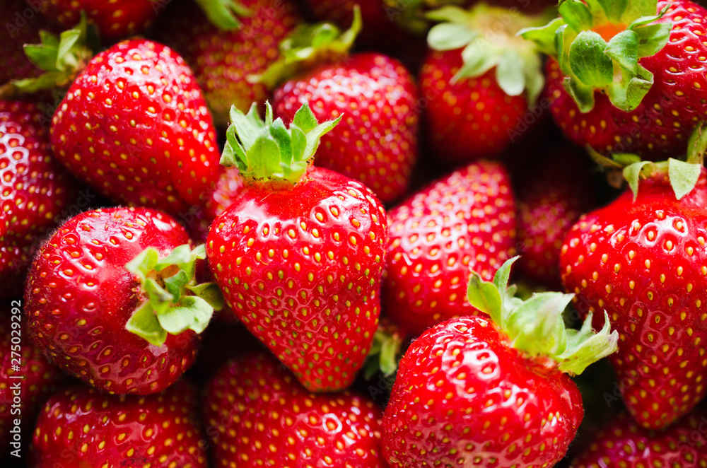 Background of fresh ripe strawberries macro. Organic juicy berries. Background of fresh ripe strawberries macro. Organic juicy berries.