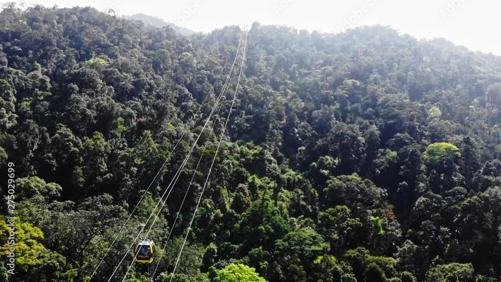 Cable car gondola ride pov over pine forest trees. drone view Cable car gondola ride pov over pine forest trees. drone view