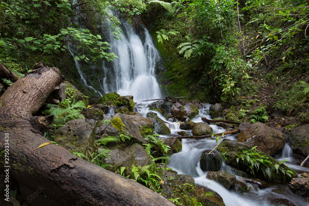Fototapeta premium tropical forest waterfall
