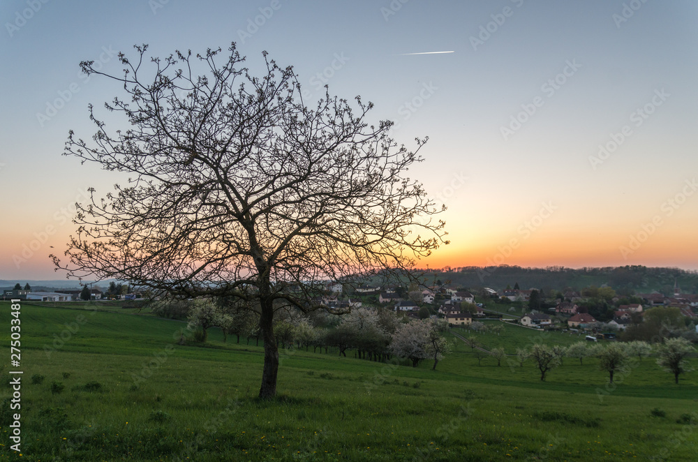 custom made wallpaper toronto digitalAnthelupt