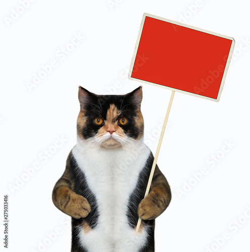 The cat is holding a blank red sign. White background. Isolated. © iridi66