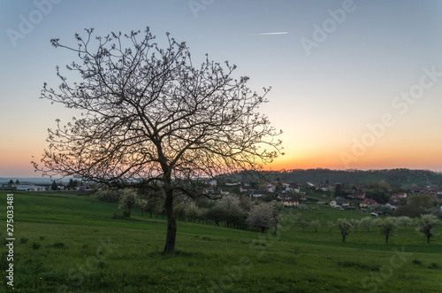 Wallpaper Mural Anthelupt Torontodigital.ca