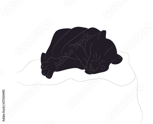 vector illustration of a lioness sleeping, drawing silhouette, vector