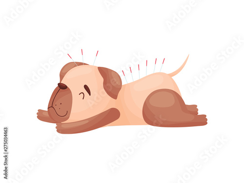 Cartoon cute dog on acupuncture. Vector illustration on white background.