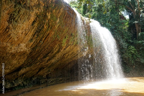 waterfall in forest